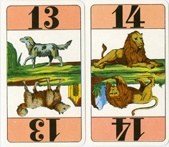 Onori con animali  Onori con animali